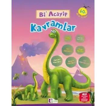 Bi Acayip Kavramlar