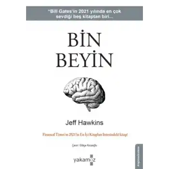 Bin Beyin