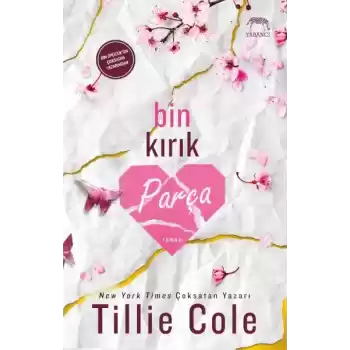 Bin Kırık Parça