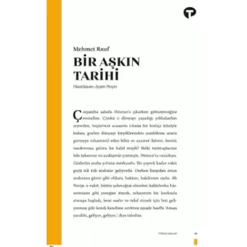 Bir Aşkın Tarihi