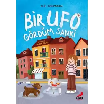 Bir UFO Gördüm Sanki