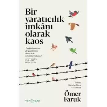 Bir Yaratıcılık İmkânı Olarak Kaos