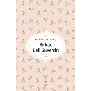 Birkaç Deli Güvercin