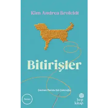 Bitirişler