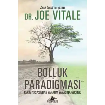 Bolluk Paradigması