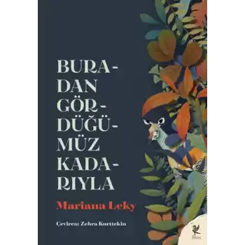 Buradan Gördüğümüz Kadarıyla