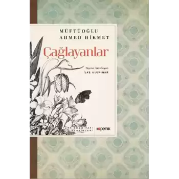 Çağlayanlar