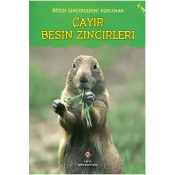 Çayır Besin Zincirleri