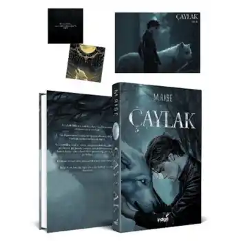 Çaylak