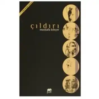 Çıldırı