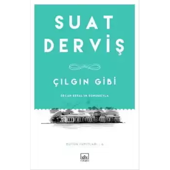 Çılgın Gibi
