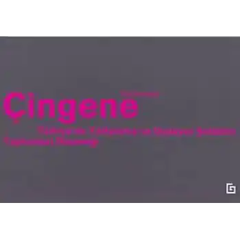 Çingene - Türkiyede Yaftalama ve Dışlayıcı Şiddetin Toplumsal Dinamiği