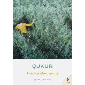 Çukur