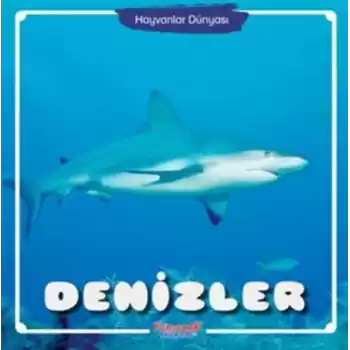 Denizler - Hayvanlar Dünyası