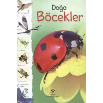 Doğa - Böcekler