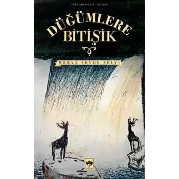 Düğümlere Bitişik