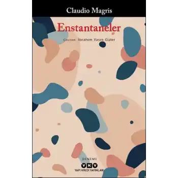 Enstantaneler