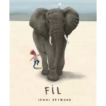 Fil - Ciltsiz