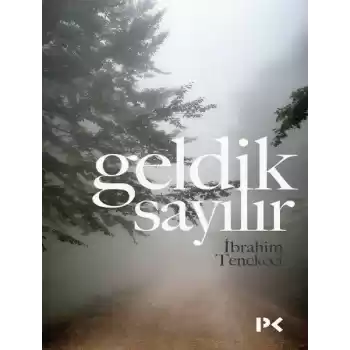 Geldik Sayılır