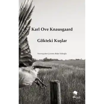 Gökteki Kuşlar