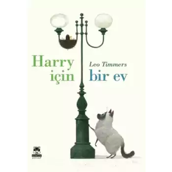 Harry İçin Bir Ev