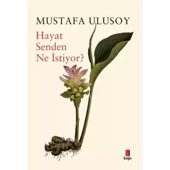 Hayat Senden Ne İstiyor?