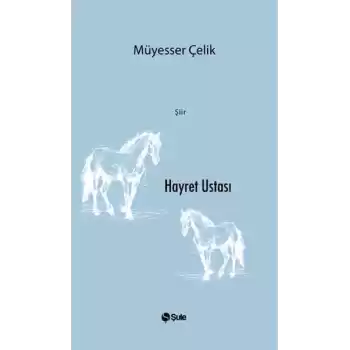 Hayret Ustası