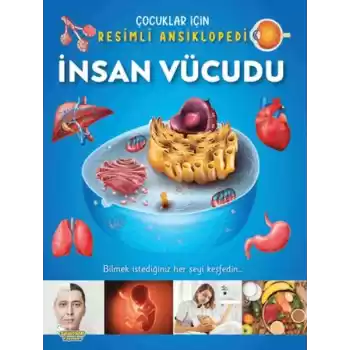 İnsan Vücudu - Çocuklar İçin Resimli Ansiklopedi