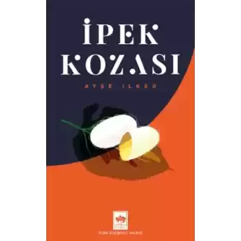İpek Kozası