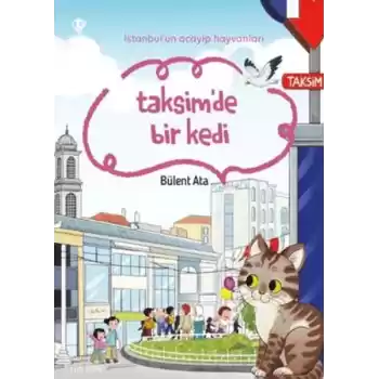 İstanbulun Acayip Hayvanları Taksimde Bir Kedi