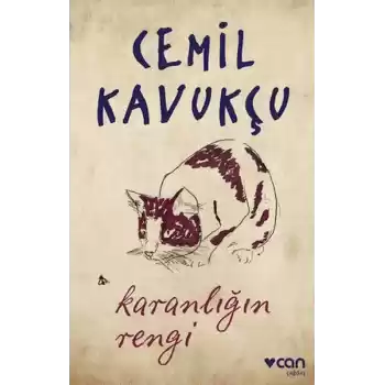 Karanlığın Rengi