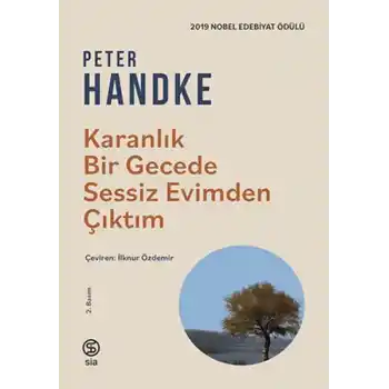 Karanlık Bir Gecede Sessiz Evimden Çıktım