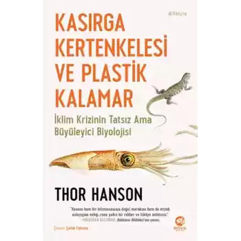 Kasırga Kertenkelesi ve Plastik Kalamar
