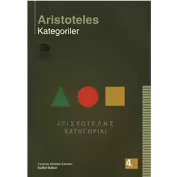 Kategoriler