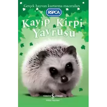 Kayıp Kirpi Yavrusu