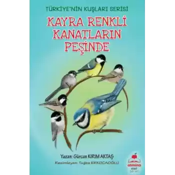 Kayra Renkli Kanatların Peşinde Türkiyenin