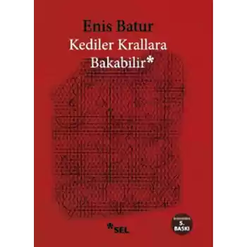 Kediler Krallara Bakabilir