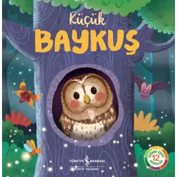 Küçük Baykuş