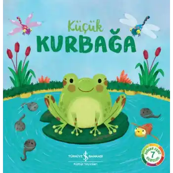 Küçük Kurbağa