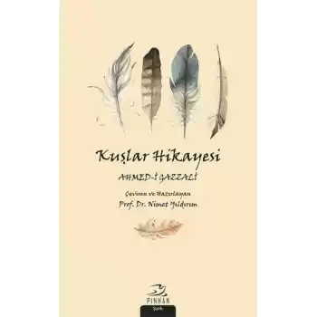 Kuşlar Hikayesi