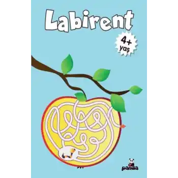 Labirent 4 Yaş