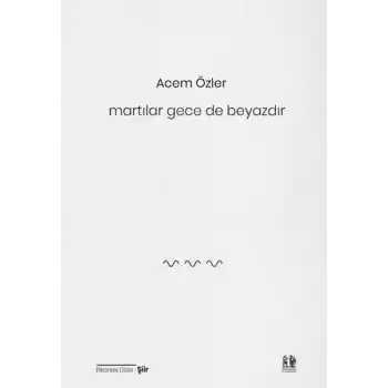 Martılar Gece de Beyazdır
