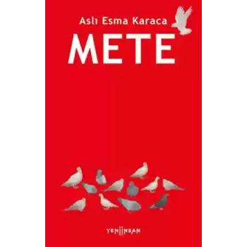 Mete