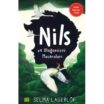 Nils ve Olağanüstü Maceraları