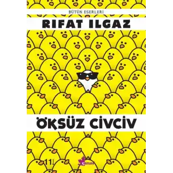 Öksüz Civciv