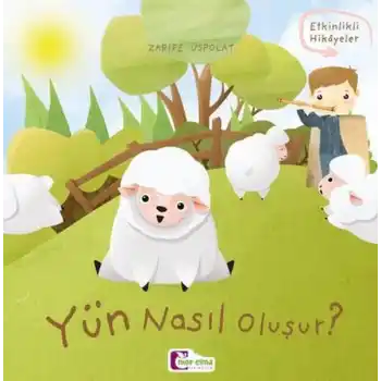 Oluşum Hikayeleri - Yün nasıl oluşur?