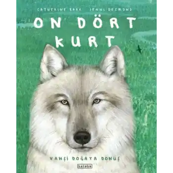 On Dört Kurt