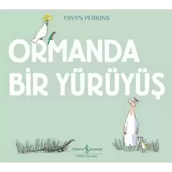 Ormanda Bir Yürüyüş