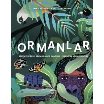 Ormanlar - Dünya  Üzerindeki Balta Girmemiş  Ormanlar, Korular ve Doğal  Rezervler