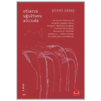 Otların Uğultusu Altında
